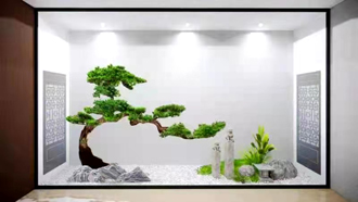 �����̻�ֲ������